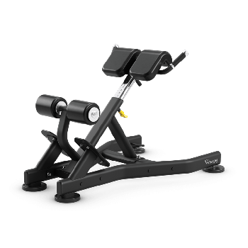 VISION Back Extension Bench