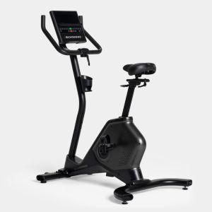 Schwinn Upright Bike 590